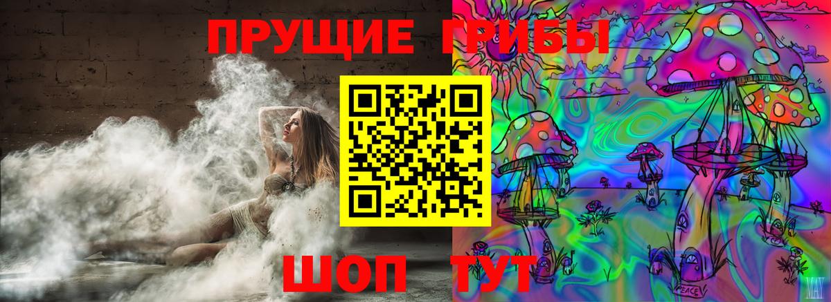 Пугачёв  Галлюциногенные грибы GOLDEN TEACHER  Вход с VPN 